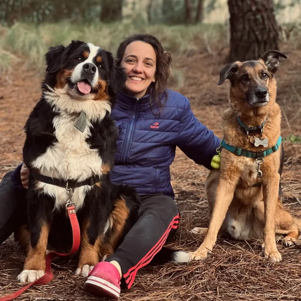 Clases virtuales de adiestramiento para perros