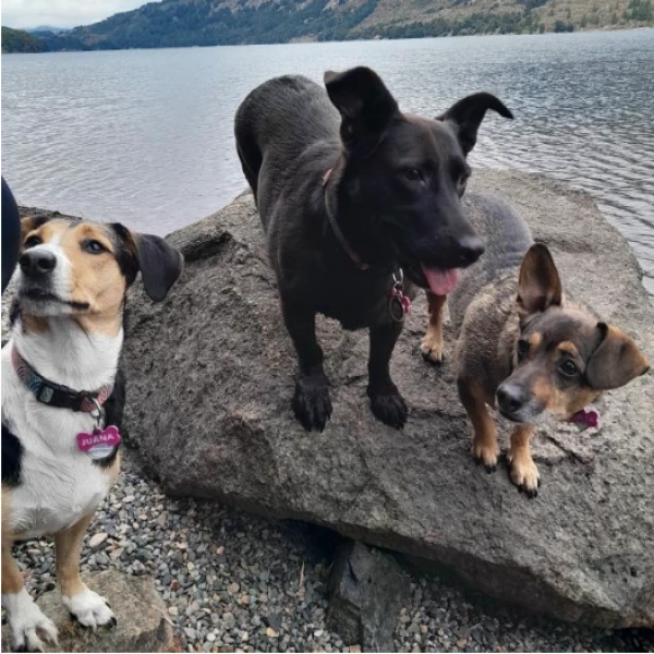 Lupita, Roxy y Juana