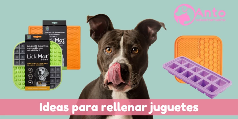 Ideas para rellenar una lickimat