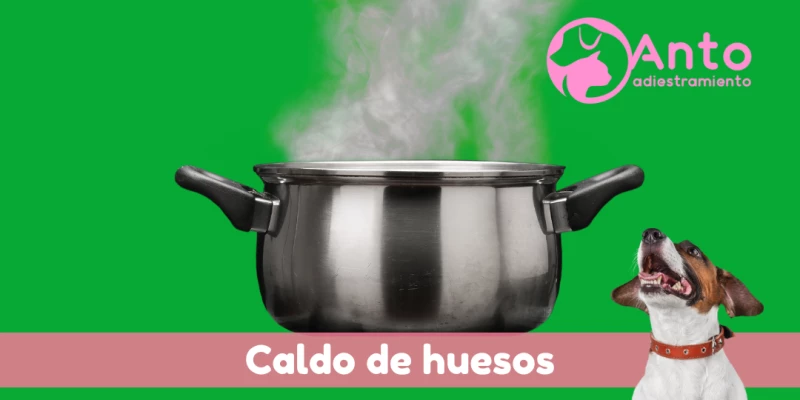 Caldo de huesos para perros | Gran aporte de colágeno