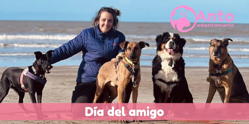 Día del amigo | El perro es el mejor amigo del hombre ¿WTF?