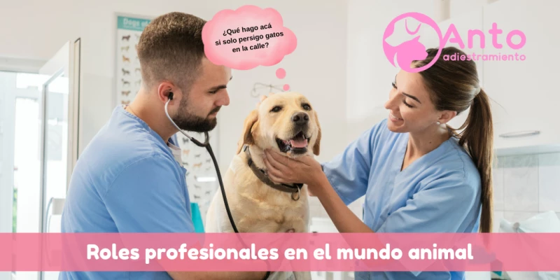 Roles de los profesionales del mundo canino y felino | A quién pedirle un consejo según cada caso?