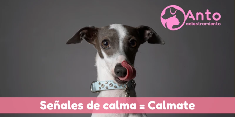 Señales de calma