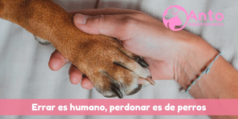 Perdonar es de perros