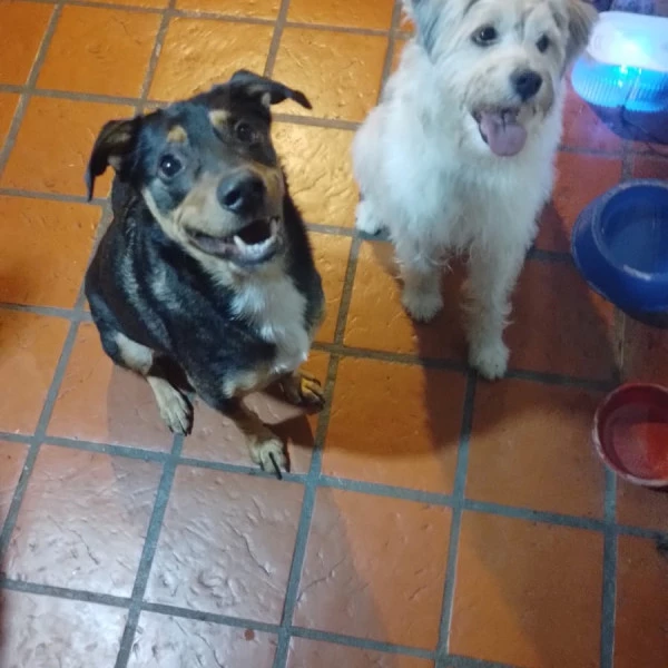 Lito y Rita