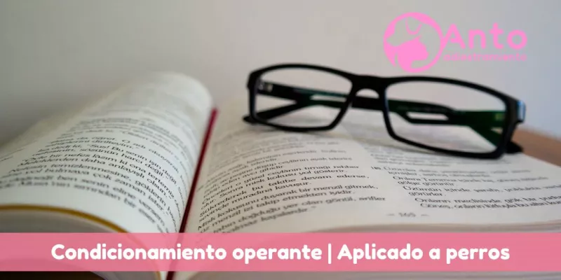 condicionamiento_operante_skinner_perros