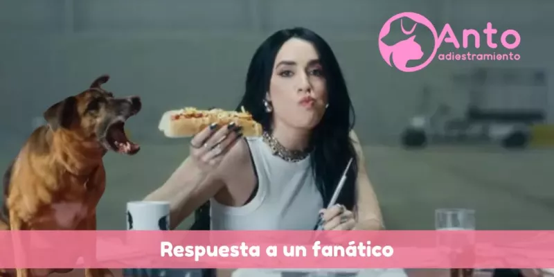lali_fanatico_perros_adiestramiento