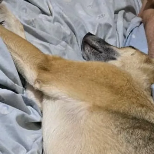 WhatsApp Image 2025-11-25 at 8.37.59 PM-v1