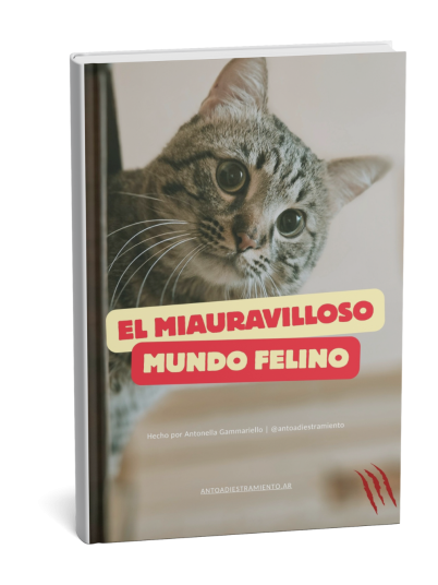 El Miauravilloso mundo felino